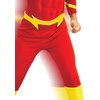 image:imageRubies DC Comics Deluxe Muscle Chest The Flash Childs CostumeCartoon
