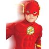 image:imageRubies DC Comics Deluxe Muscle Chest The Flash Childs CostumeCartoon