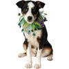 image:imageRubies Fancy Mardi Gras Stars Pet Collar MediumLargeMediumLarge