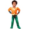 image:imageDC League of Super Pets Aquaman Costume for Toddlers by Rubies Boys 4T2T