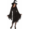image:imageForum Novelties Womens Wicked Witch CostumeBlack