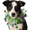 image:imageRubies Fancy Mardi Gras Stars Pet Collar MediumLargeMediumLarge