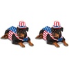 Medium (Pack of 2)