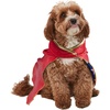 image:imageDC Comics Wonder Woman Pet Costume for For Dogs or Cats by Rubies SmallMedium