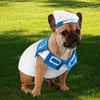 image:imageGhostbusters StayPuft Marshmallow Man Pet Costume for For Dogs or Cats by Rubies SmallL