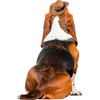 image:imageRubies Cowboy Pet Hat for Dogs or Cats SMBrown