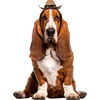 image:imageRubies Cowboy Pet Hat for Dogs or Cats SMBrown