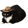 image:imageRubies Cowboy Pet Hat for Dogs or Cats SMBrown