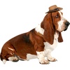 image:imageRubies Cowboy Pet Hat for Dogs or Cats SMBrown