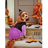 image:imageRubies Peanuts Snoopy Pet Costume for for Dogs or Cats LargeAs Shown
