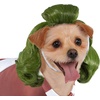 image:imageRubies Willy Wonka and the Chocolate Factory Oompa Loompa Pet Costume for for Dogs or Cats LargeAs Shown