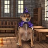 image:imageRubies Wizard Pet Costume for Dogs or Cats MediumSmall