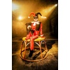 image:imageRubies Womens DC Heroes and Villains Collection Harley Quinn CostumeRedBlack