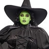image:imageRubies womens Wicked Witch Adult CostumeBlack