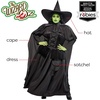 image:imageRubies womens Wicked Witch Adult CostumeBlack