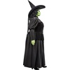 image:imageRubies womens Wicked Witch Adult CostumeBlack