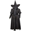 image:imageRubies womens Wicked Witch Adult CostumeBlack
