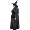 image:imageRubies womens Wicked Witch Adult CostumeBlack