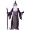 image:imageForum Novelties Mens Wizard Adult CostumePurple
