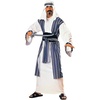 image:imageRubies Co Desert Prince Deluxe Adult CostumeBlue