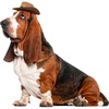 image:imageRubies Cowboy Pet Hat for Dogs or Cats SMBrown