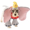 image:imageRubies Disney Dumbo Costume for for Dogs or Cats LargeSmall Pack of 1