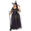 image:imageRubies Midnight Curvy Witch Womens Sexy CostumeAs Shown
