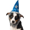 image:imageRubies Wizard Hat WBeard Pet Set for Dogs or Cats MLSmallMedium