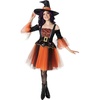 image:imageRubies Womens Enchanted Glamour Witch Costume Dress and HatAs Shown