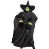 image:imageRubies womens Wicked Witch Adult CostumeBlack