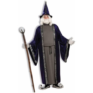 image:imageForum Novelties Mens Wizard Adult Costume PurplePurple