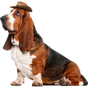image:imageRubies Cowboy Pet Hat for Dogs or Cats SMBrown