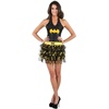 image:imageRubies DC Comics Superheroes Batgirl Costume Skirt for Adults Womens One SizeBatgirl