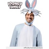 image:imageRubies Unisex Adult Unisex Adult Looney Tunes Bugs Bunny Costume Jumpsuit Headpiece and GlovesAs Shown