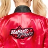 image:imageRubies womens Dc Comics Batman Harley Quinn Deluxe CostumeAs Shown