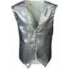 image:imageRubies Childs Sequin VestSilver
