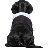 image:imageRubies Top Gun Maverick Pet Costume for for Dogs or Cats LargeLarge