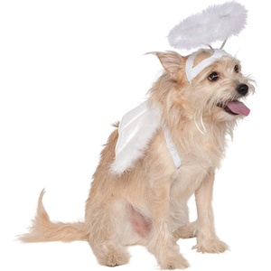 image:imageRubies Angel Pet Halo amp Wing Set for Dogs or Cats MLMediumLarge