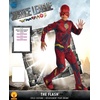 image:imageDC Justice League The Flash Costume for Kids by Rubies Boys MediumMulticolor