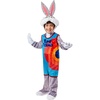 image:imageRubies BabyToddler Warner Bros Space Jam Bugs Bunny Tune Squad Costume