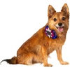 image:imageRubies Spider amp Bat Pet Collar Slide Set for Dogs or Cats One Size