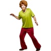 image:imageRubies at Party City ScoobyDoo Shaggy Rogers Costume for Adults by Rubies Mens One Size