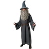image:imageRubies Lord Of The Rings Gandalf Costume for Adults Mens Standard