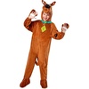 image:imageRubies at Party City ScoobyDoo ScoobyDoo Costume for Kids Boys Costume