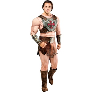 image:imageRubies at Party City Masters Of The Universe HeMan Costume for Adults