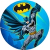 image:imageRubies Batman Batman Wheelchair Wheel Covers 16 inches