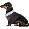 image:imageTop Gun Maverick Pet Costume for For Dogs or Cats by Rubies XL