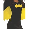 image:imageRubies DC Superheroes Batgirl Adult Tube Dress