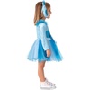 image:imageRubies Girls Blues Clues and You Blue Costume Tutu Dress