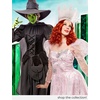 image:imageRubies Wizard of Oz Wicked Witch Costume Dress for Adults